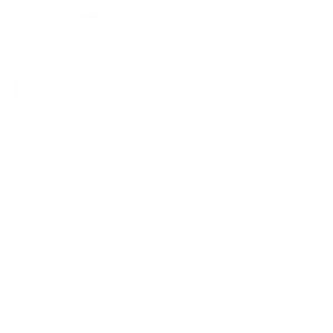 AI Optimization Service