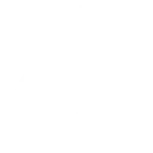 TikTok Ads Service